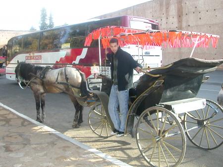 moul koutchi